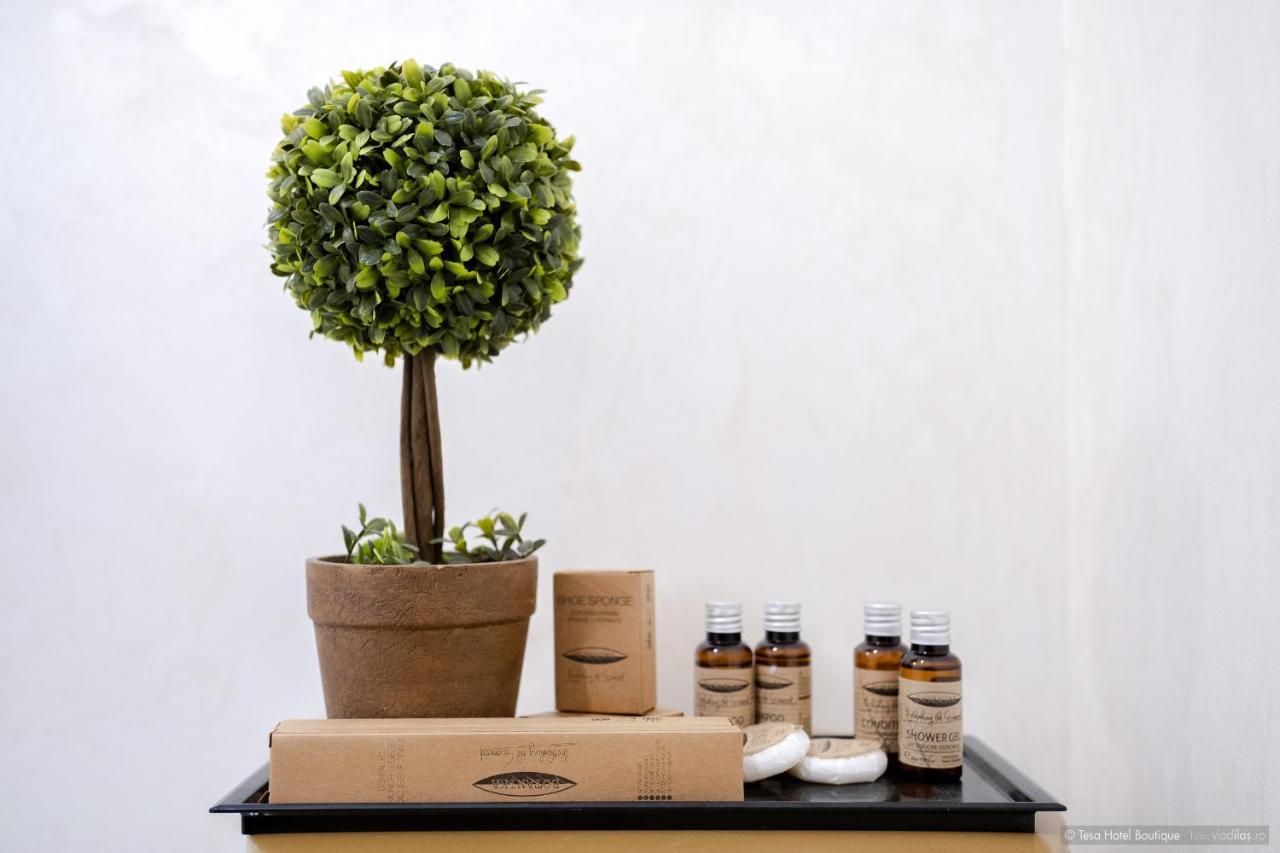Tesa Boutique Hotel Tirgu Neamt Εξωτερικό φωτογραφία
