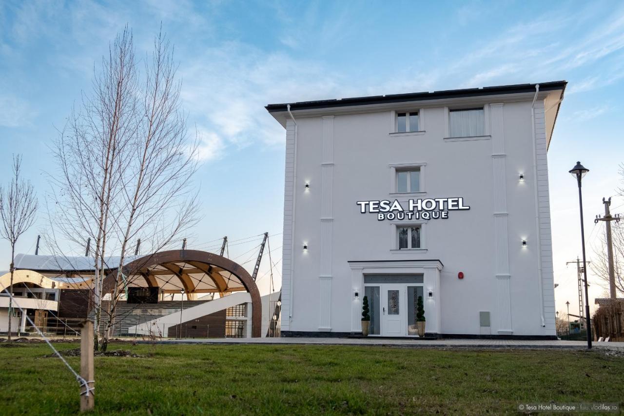 Tesa Boutique Hotel Tirgu Neamt Εξωτερικό φωτογραφία